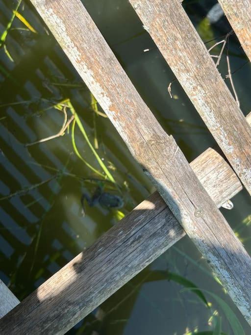 Un Havre De Paix Au Perigord Villa Anlhiac ภายนอก รูปภาพ